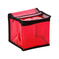 Косметичка прозрачная красная куб